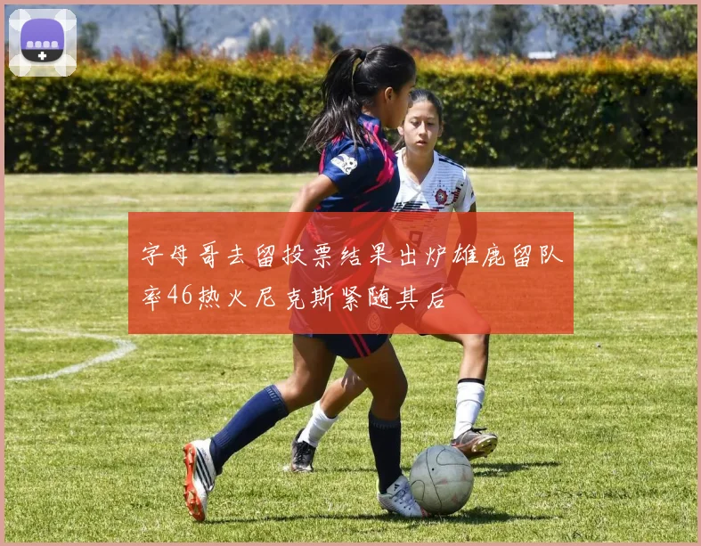 字母哥去留投票结果出炉雄鹿留队率46热火尼克斯紧随其后